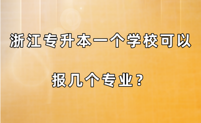 浙江專升本一個學(xué)校可以報幾個專業(yè)？.png
