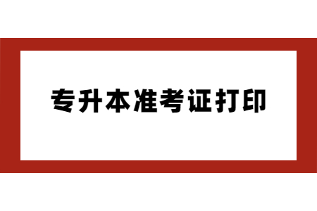 專升本準(zhǔn)考證打印 